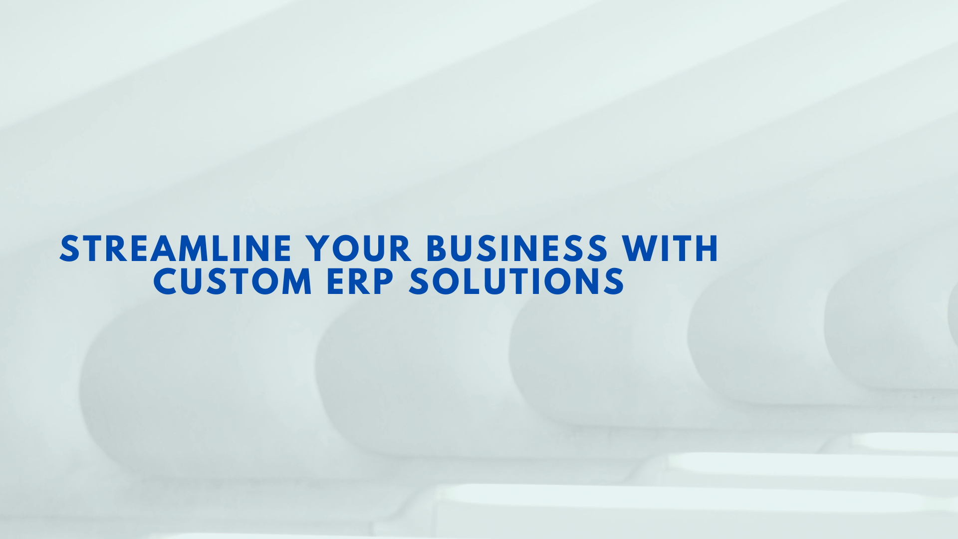 custom erp solutions